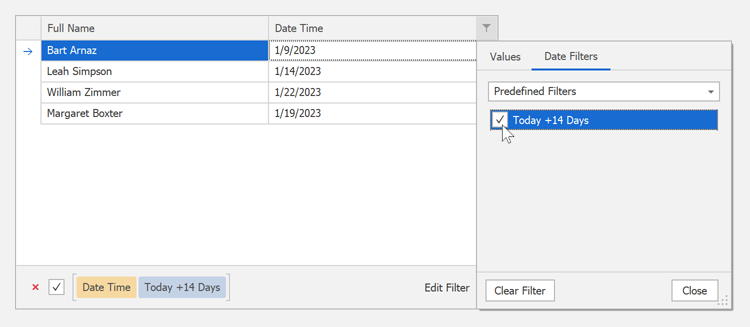 Custom Function to Filter Date-Time Values - WinForms Data Grid
