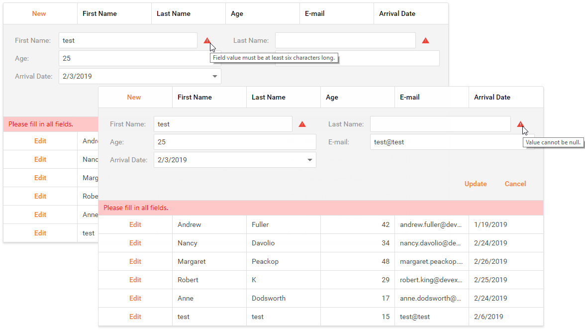 Validate Grid Data Web Forms Controls DevExpress Documentation