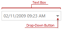 ASPxDateEdit_TextBox