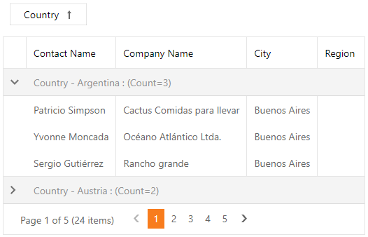 ASPxGridView - GroupFormat