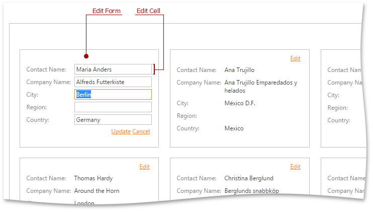 ASPxCardView_VisualElements_EditForm