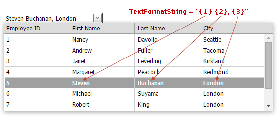 ASPxComboBox-TextFormaString-Custom.png