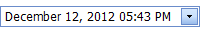 ASPxDateEdit_custom