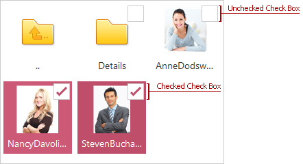 ASPxFileManager_CheckBoxes