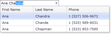 ASPxGridLookup-IncrementalFiltering-StartsWith.png