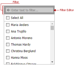 ASPxListBox-FilterEditor