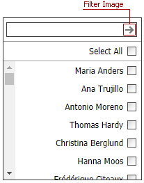 ASPxListBox-HideFilterImageRTL