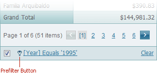 ASPxPivotGrid_PrefilterButton