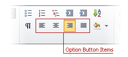 ASPxRibbon_OptionItem