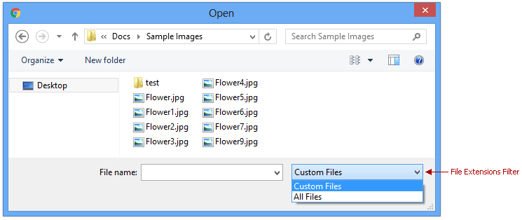 Permitted File Extensions