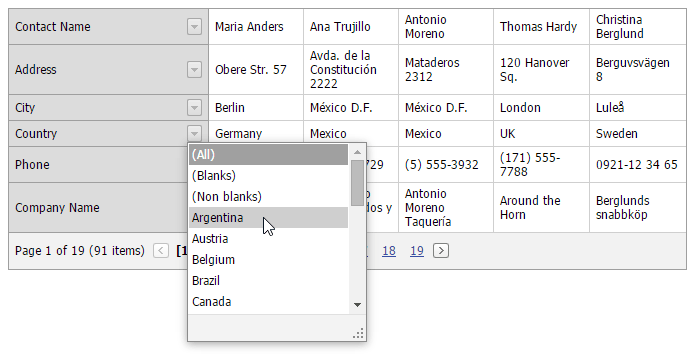 ASPxVerticalGrid-GettingStarted-Result