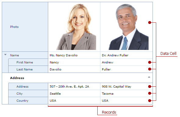 ASPxVerticalGrid-Records-Cells