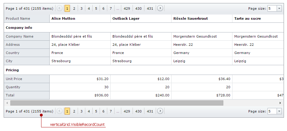 ASPxVerticalGrid-VisibleRecordCount