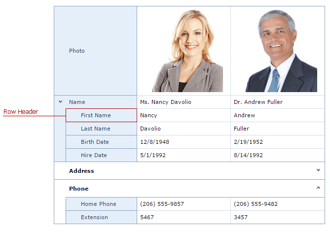 ASPxVerticalGrid-VisualElements-RowHeader
