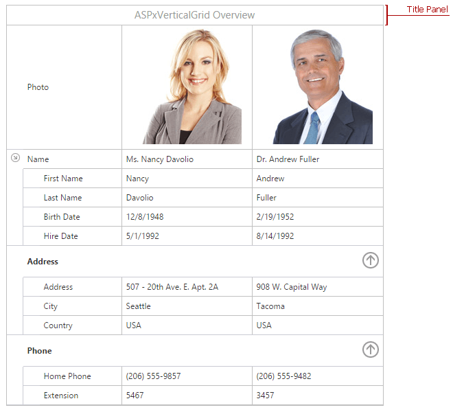 ASPxVerticalGrid-VisualElements-TitlePanel