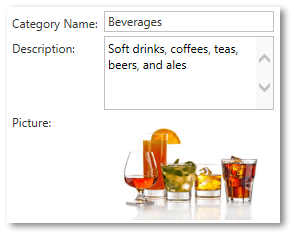 FormLayout_DataBinding_Overview_Result