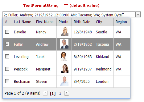 GridLookup-TextFormatString-Default