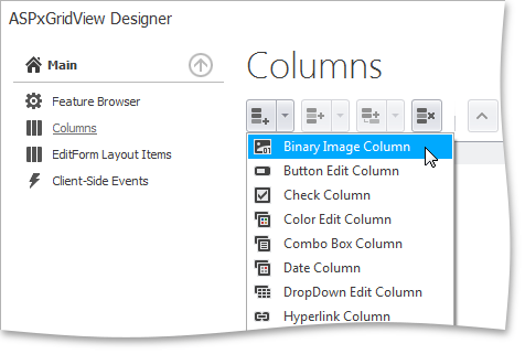 GridViewDataBinaryImageColumn