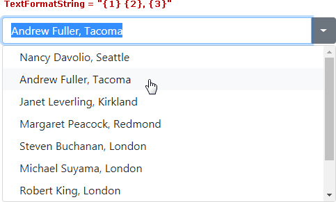 BootstrapComboBox_TextFormatString