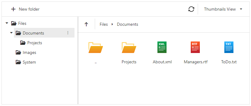 File Manager Overview