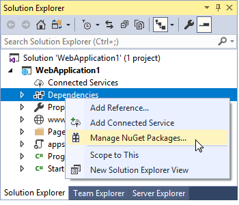 Solution Explorer