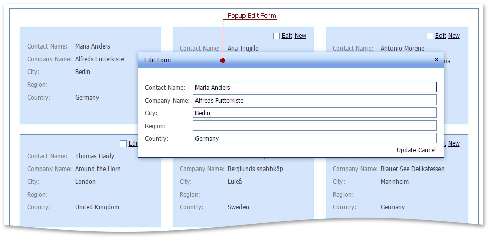 ASPxCardView_VisualElement_PopupEditForm