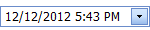 ASPxDateEdit_datetime.png