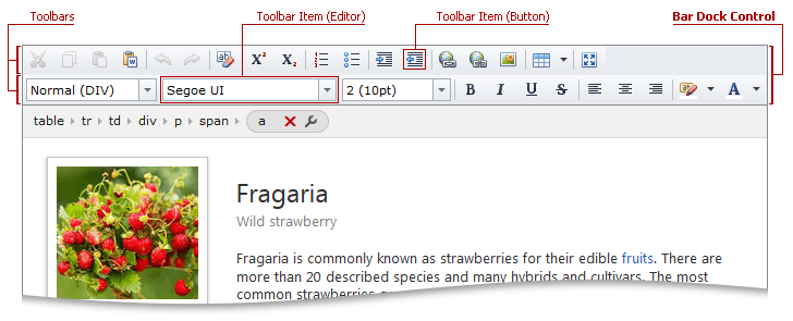 ASPxHtmlEditor-BarDockControl