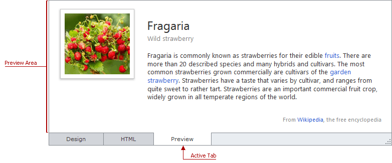 ASPxHtmlEditor-PreviewArea