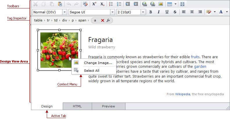 ASPxHtmlEditro-DesignViewArea