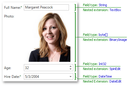 MVC_Formlayout_DataBinding_Overview