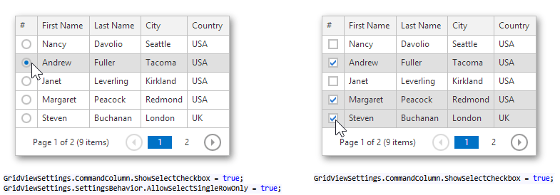 MVC_Grid_FN_SelectionCheckBox