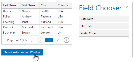 MVC_GridView_CustomizWindow