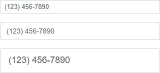 Masked Input - Size Modes