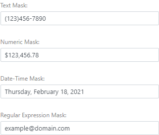 Masked Input Overview