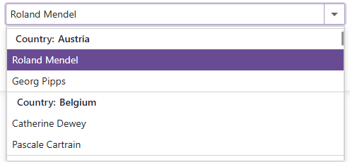 ComboBox - Group Data