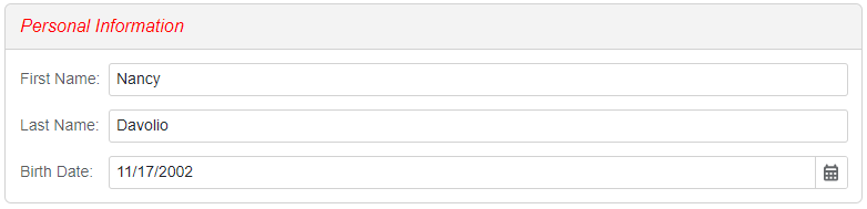 Form Layout Group CSS Class