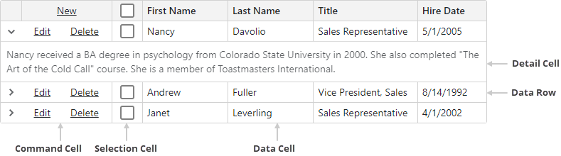 Data and Detail Row