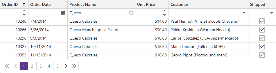 Blazor Grid Filter Row