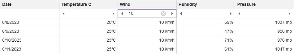 Filter Row Template