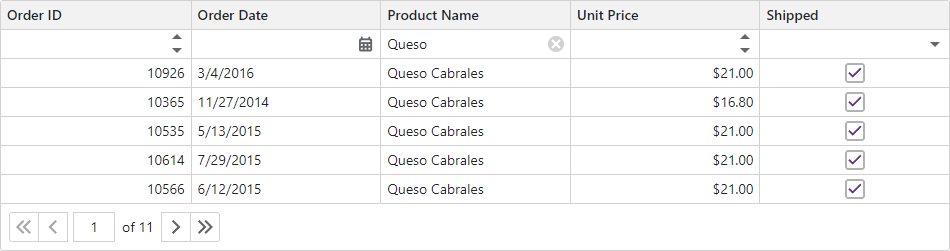 Blazor Grid Filter Row