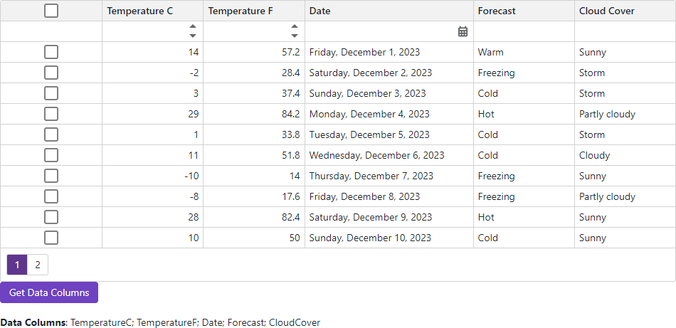 Blazor Grid Get Data Columns