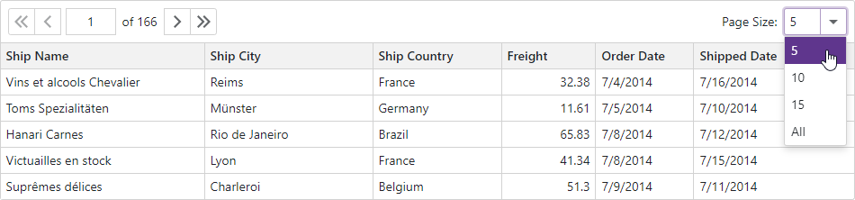 Blazor Grid Page Size Selector