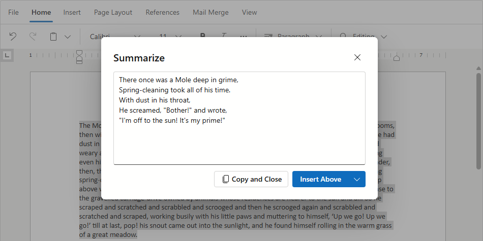 Augment Summary Prompt