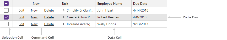 Data and Detail Row