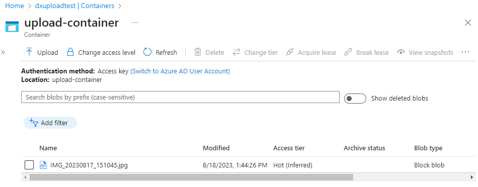 The file was uploaded to Azure Storage