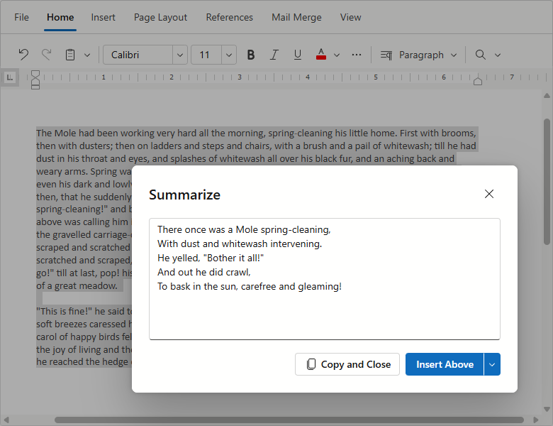 Augment Summary Prompt