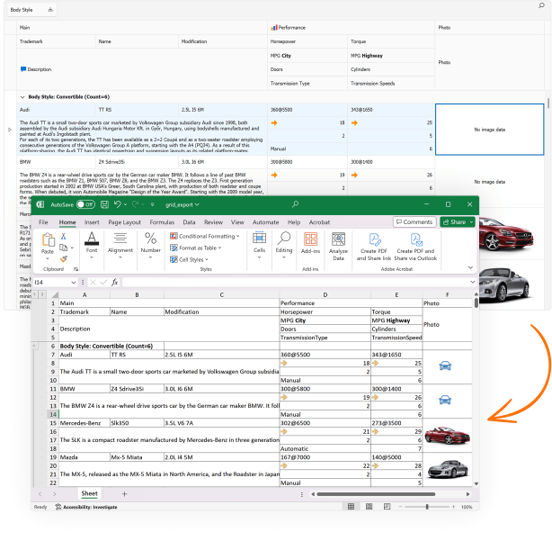 WinForms - Customize Export Images to Excel Cells