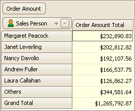 PivotGridField.TopValueShowOthers2