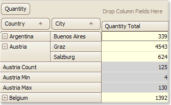 ShowCustomTotalForSingleValue_False